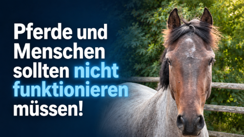 Funktionieren macht krank