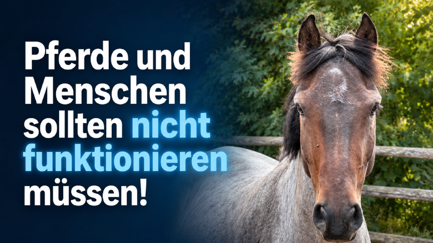 Pferd mit der Botschaft, dass Pferde und Menschen nicht funktionieren sollten.
