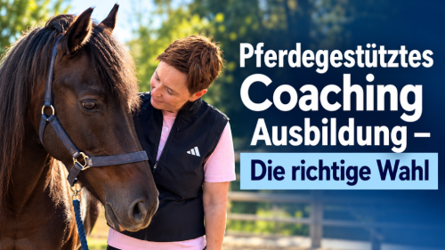 Pferdegestütztes Coaching Ausbildung - Die richtige Wahl