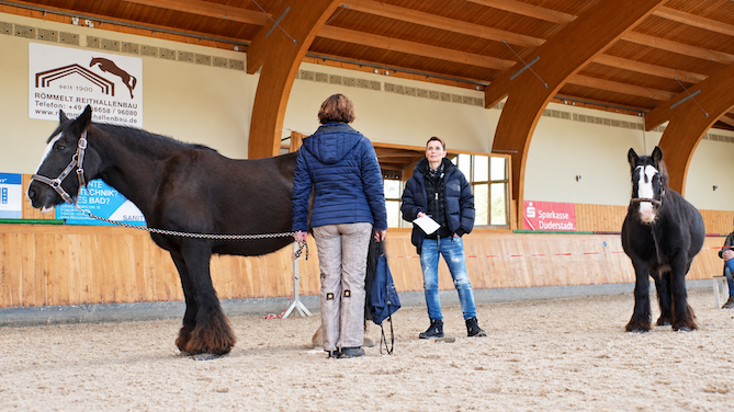 Zwei Menschen stehen mit zwei Pferden in einer Reithalle beim pferdegestützten Coaching.