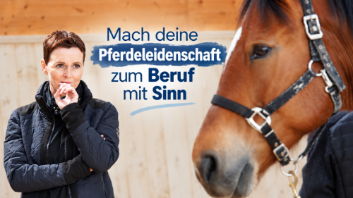 Mach deine Leidenschaft für Pferde zum Beruf mit Sinn!