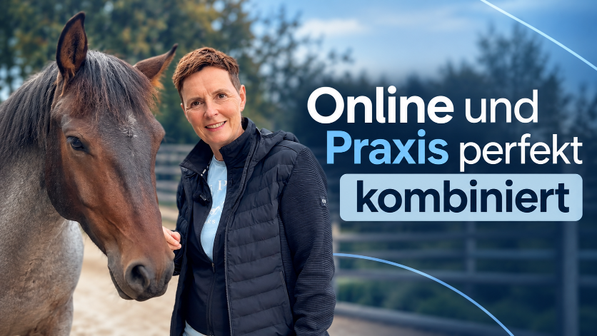 Frau steht neben einem Pferd; die pferdegestützte Coaching Ausbildung verbindet Online- und Präsenzphasen.