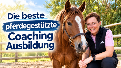 Die beste pferdegestützte Coaching Ausbildung für dich!