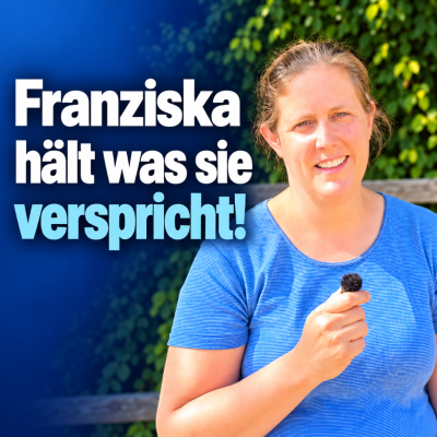 Von beruflicher Belastung zu mehr Klarheit für den Start ins Pferdecoaching
