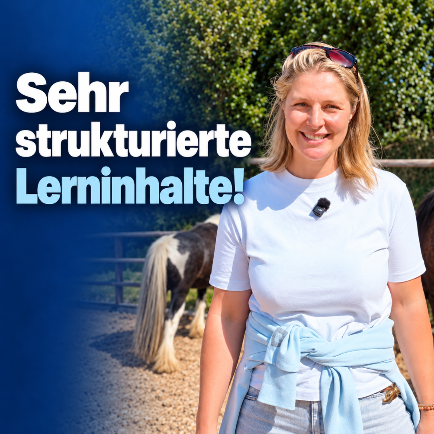Pferdegestütztes Coaching lernen – mit MindMirror® vom Wissen ins Tun