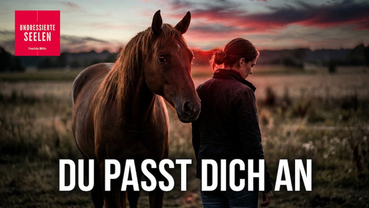 Bild #7 von 24