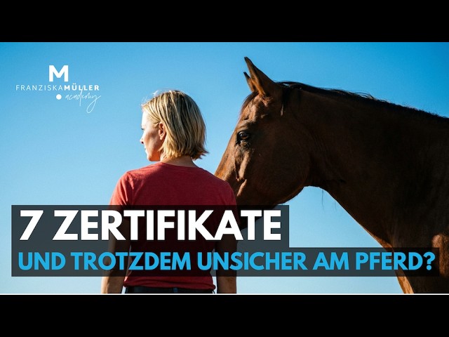 Bild #11 von 24