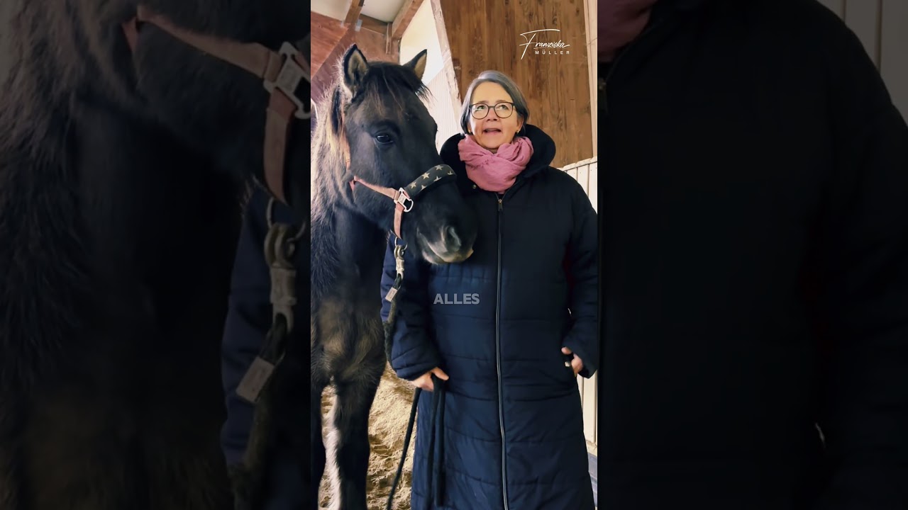 Bild #18 von 24