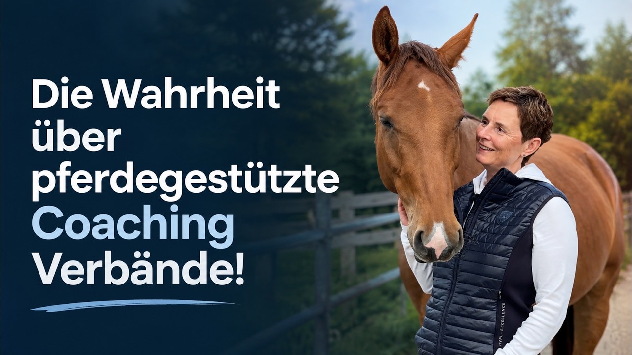 Bild #4 von 31