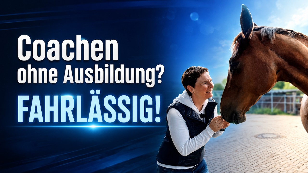 Bild #8 von 31