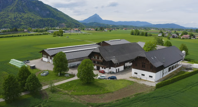 Der Bullenmastbetrieb Friesacher setzt auf den Futterschieber Stallboy Feed.