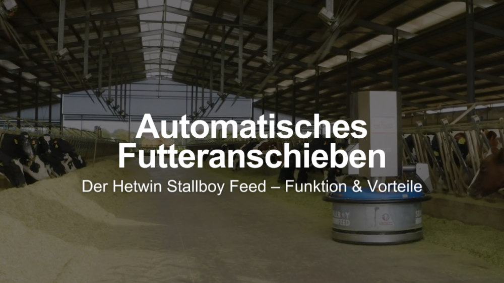 Automatisches Futteranschieben: Der Hetwin Stallboy Feed – Funktion & Vorteile