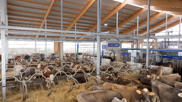 Der Astor hängt an der Decke, bewegt sich ruhig und ist akkubetrieben nahezu lautlos unterwegs.&nbsp;