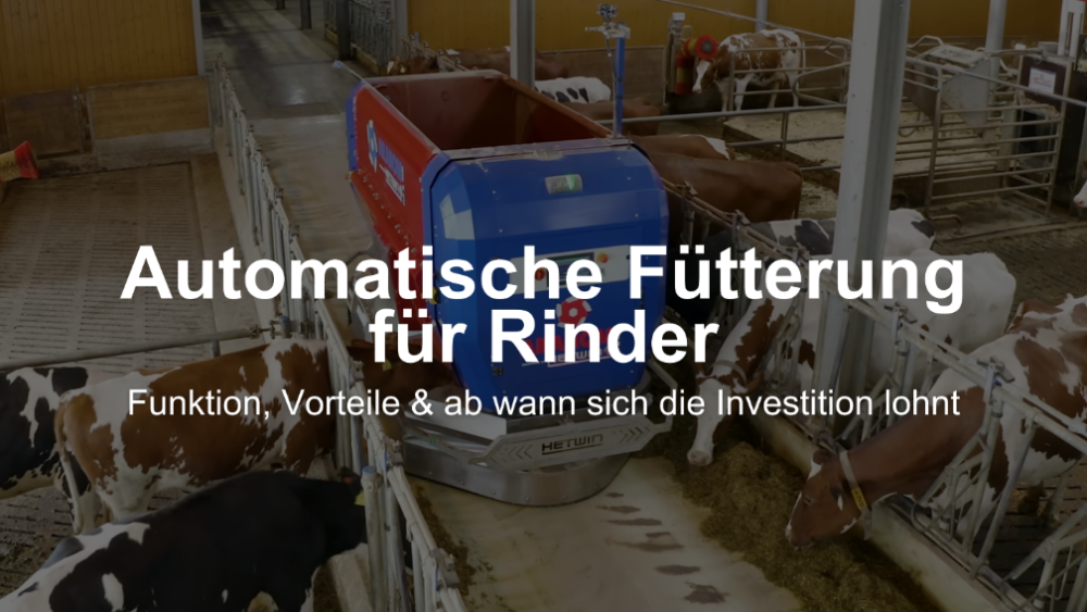 Automatische Fütterung für Rinder: Funktion, Vorteile & ab wann sich die Investition lohnt