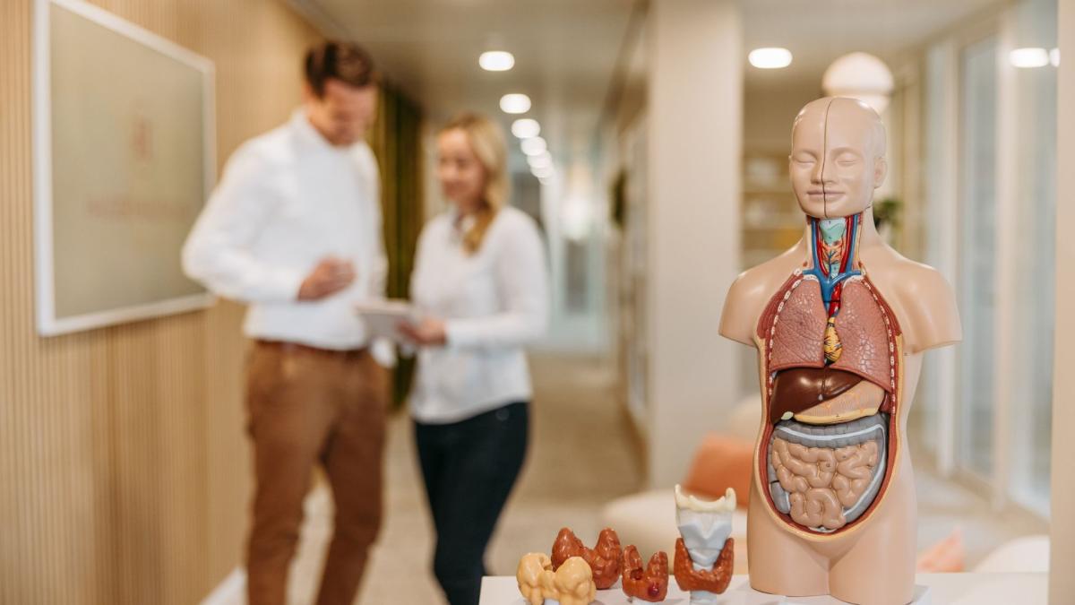 Die Hauser Healthcare GmbH begleitet Frauen mit Schilddrüsenunterfunktion und Hashimoto auf ihrem Weg zurück zu mehr Energie und Wohlbefinden
