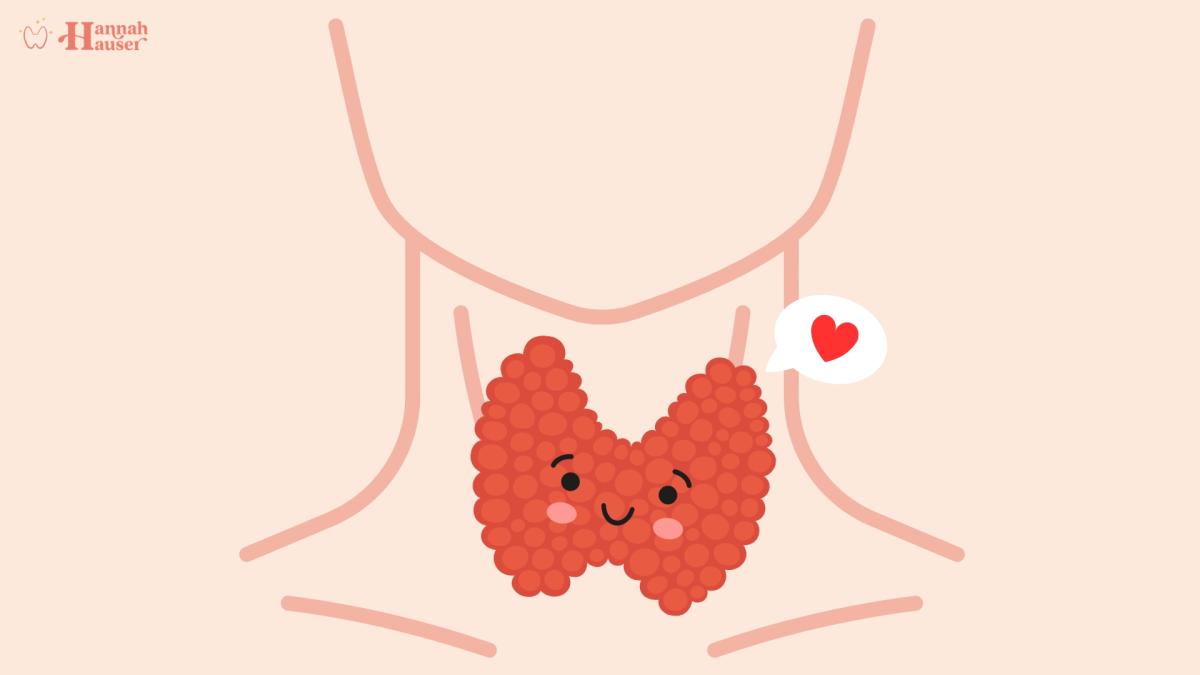 Die Schilddrüse ist ein Organ, welches im Hals sitzt und die Form eines Schmetterlings hat