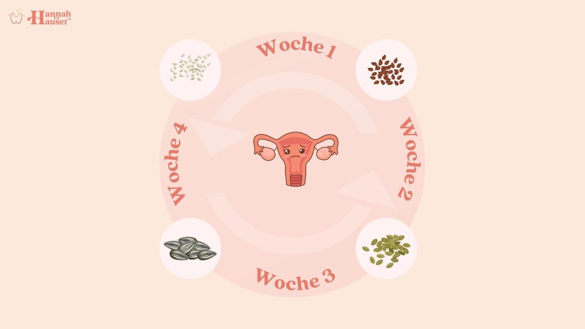 Seed Cycling kann Symptome kurzfristig lindern, löst aber nicht die eigentliche Ursache