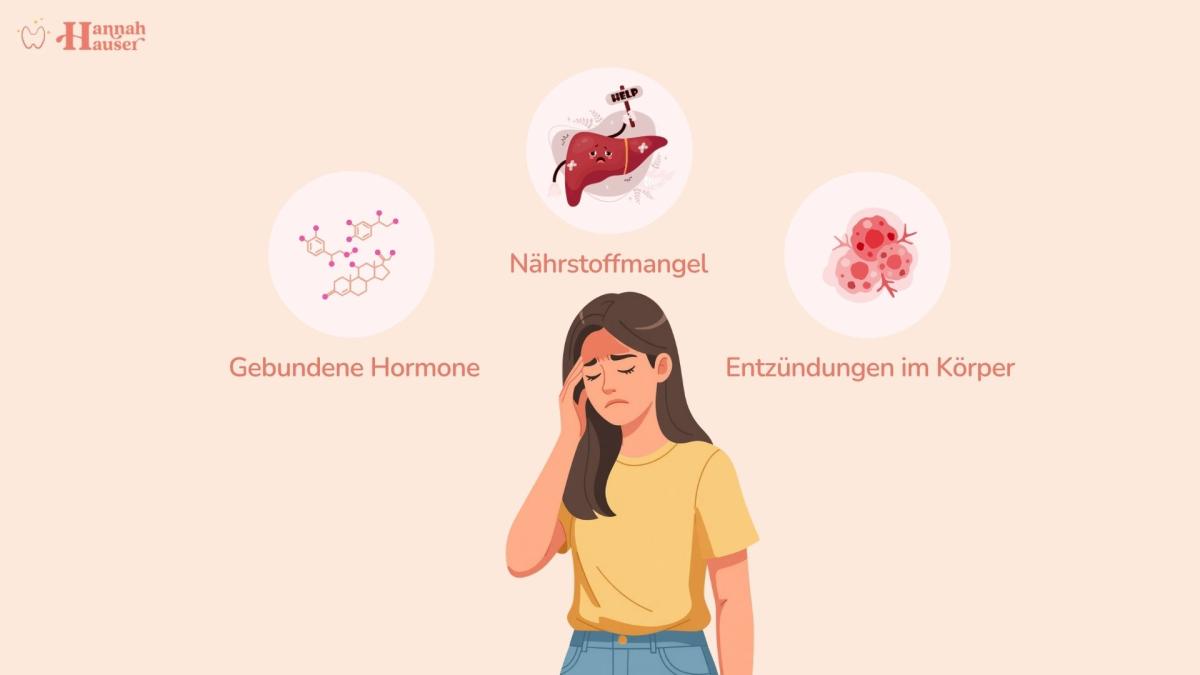 Wenn Leber, Darm und Hormonsystem aus dem Gleichgewicht geraten, kann das weitreichende Folgen für deinen Stoffwechsel haben
