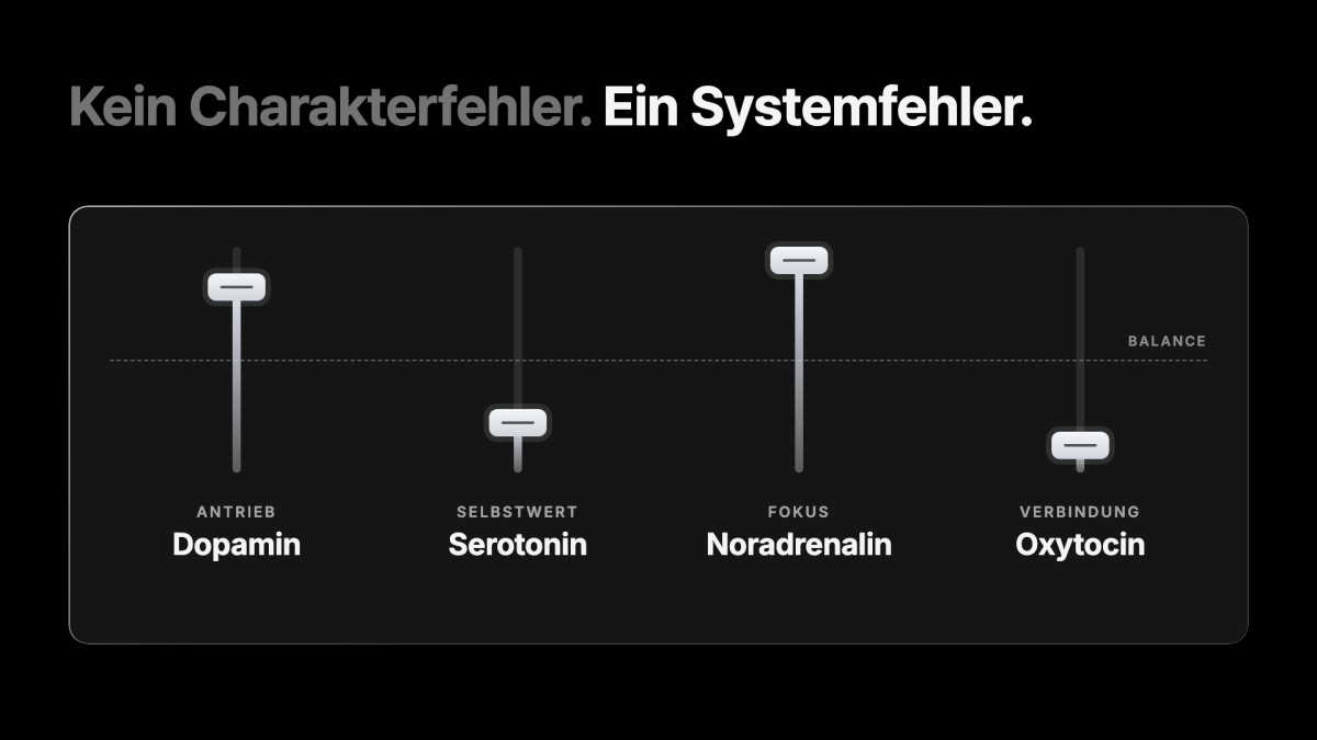 Diagramm zu Selbstsabotage bei Selbstständigen mit Dopamin, Serotonin, Noradrenalin und Oxytocin.