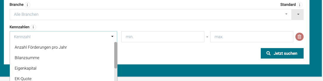 Suchmaske für Vertriebsdatenbank zur Optimierung der Kaltakquise.