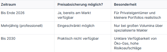 Tabelle zur Preisabsicherung von Gaspreisen bis 2030 mit Details.