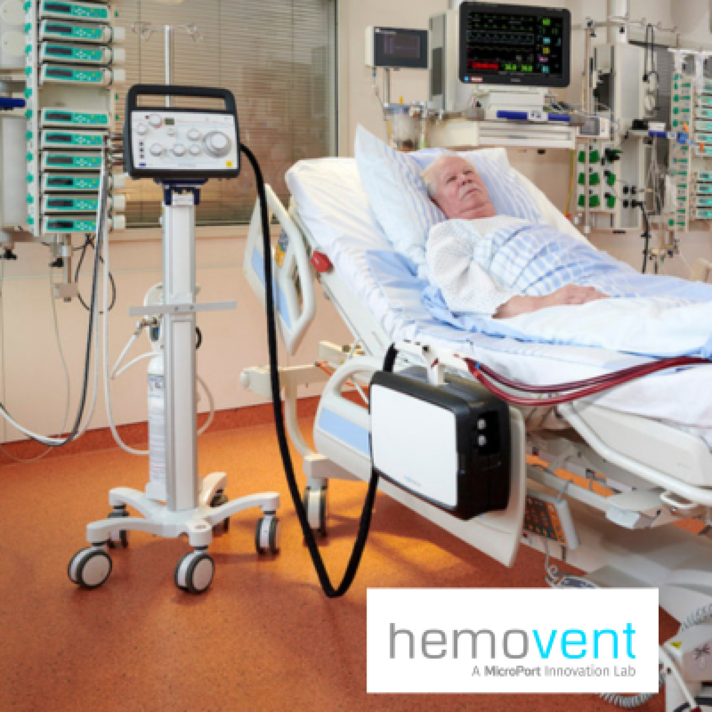 Strukturierte Exportprozesse für Hemovents erfolgreichen Markteintritt in China