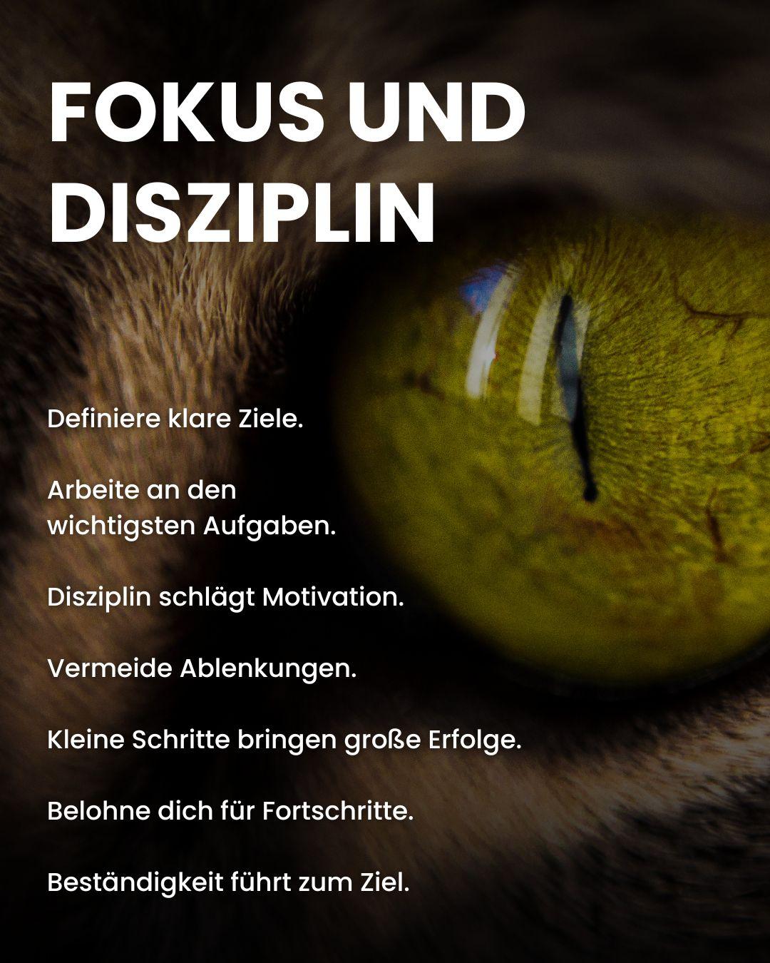 Fokus & Disziplin