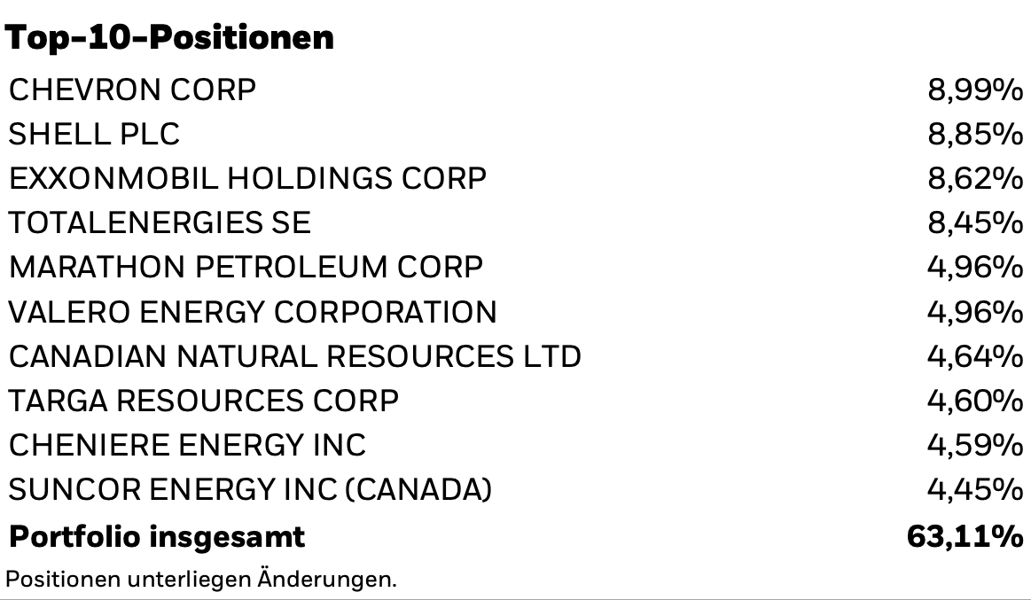 Die Top-10-Positionen im BlackRock World Energy Fonds mit Marktanteilen.