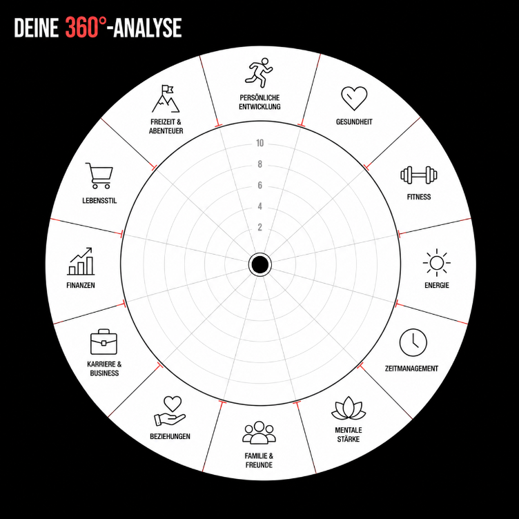 Visualisierung der 360°-Analyse als Lebensrad zur Selbsteinschätzung.