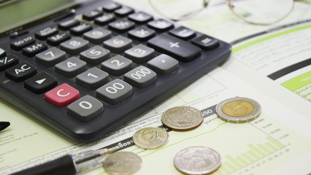 Signal Iduna SI Pur Invest