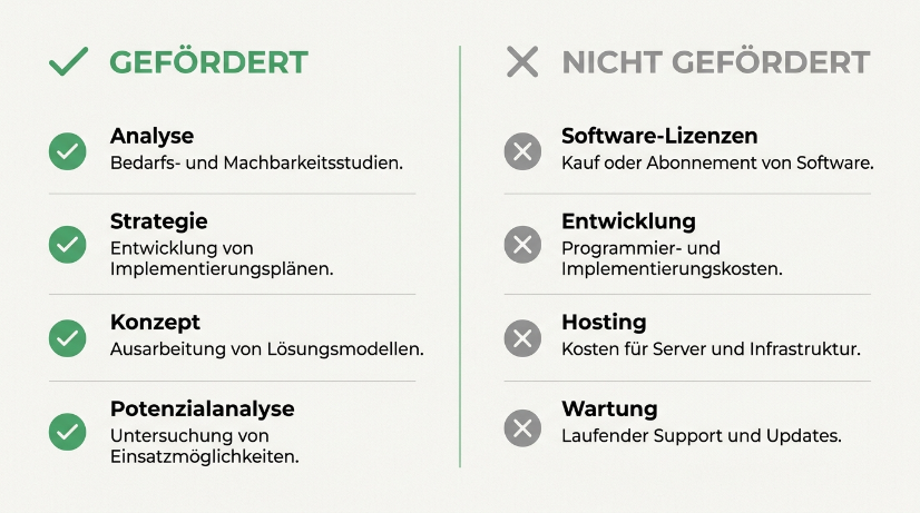 Auflistung von geförderten und nicht geförderten Leistungen bei der KI-Förderung 2026.
