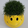 Profilbild von Manne S.